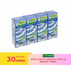 sữa chua yomost mint & berry 170ml